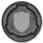 Security Fоrcеs