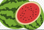 Major melon fan club