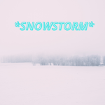 *Snowstorm*
