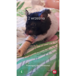 Bartek i Darek i Szymek i