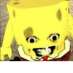 Sponge guards