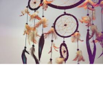 Red Panda's ♥