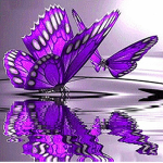 the purple butterfly!