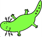 Axolotl creeeeeewwwwwww