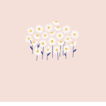 Indie/aesthetic clothing!