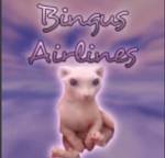 Bingus Airlines