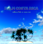 Palm COSTA RICA