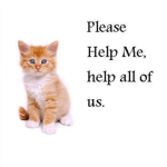 Protect Animals