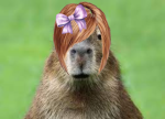 THE OFFICIAL CAPYBARA CULT