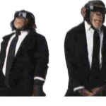 Crazy Cool Monkeys Pizza