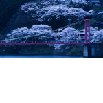 Sakuras Studios