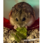 We love Fluffy stuff
