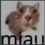 U want I give