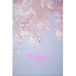Ukiyo Clothing and Designs