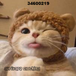 aurivapz clothing