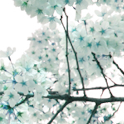 ❀