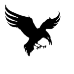 Raven's Studios