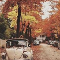 ꒰🍂꒱‧˚🍁