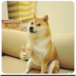 Thumbs up doge