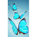 قروب كيوت احبكم#