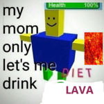 Diet Lava Store
