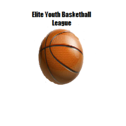 Elite Youth Basketball League Court