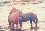 pink unicorn princesses!