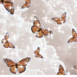 Maddie’s butterfly group