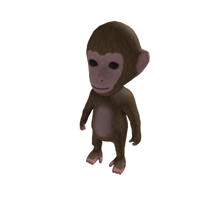 monkey baby