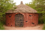 Vee nee tribe