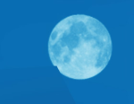 Cyber Games Studios (Roblox)