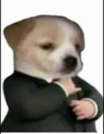 AlexorlaX