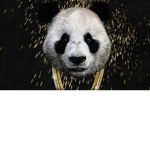 Panda yahoo