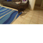 Cats are the best!!!!!!!!!!!!!!!!!!!