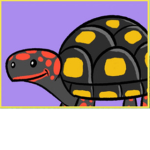 Spotted turtle squad HQ
