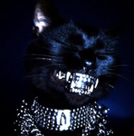 ᴅ.ᴇ.ᴅ.ᴘ.ᴏ.ᴏ.ʟ