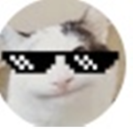BELU FAN GROUP