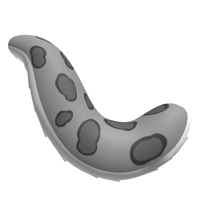 snow leopard tail