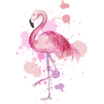Cute_Flamingos