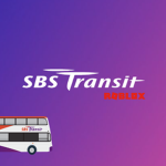 Singapore Bus Service Transit [Roblox]