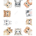 Animals cute~