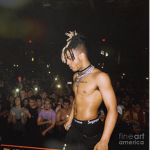 R.I.P X