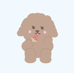 CookieOffical Account