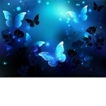 The Blue Butterflies Studio
