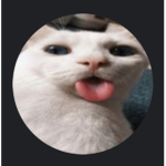 jayjaypoo