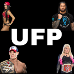 WWE Universal Fighting Program