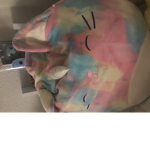 Cats place