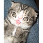 Help me decide the name.