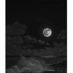 Half moons