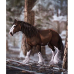 • Galloping Horse Academy •